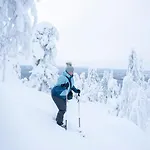 Kelo 24, Kahden Makuuhuoneen Kelomoekki Syoetteellae, Valaistun Ladun Vieressae