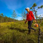 Сasa de vacaciones Kelo 24, Kahden Makuuhuoneen Kelomoekki Syoetteellae, Valaistun Ladun Vieressae Pudasjarvi
