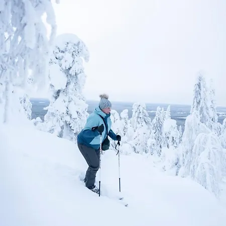 Kelo 24, Kahden Makuuhuoneen Kelomoekki Syoetteellae, Valaistun Ladun Vieressae