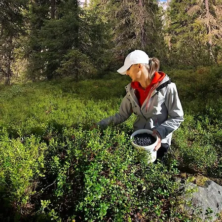 Vakantiehuis Kelo 24, Kahden Makuuhuoneen Kelomoekki Syoetteellae, Valaistun Ladun Vieressae Pudasjarvi