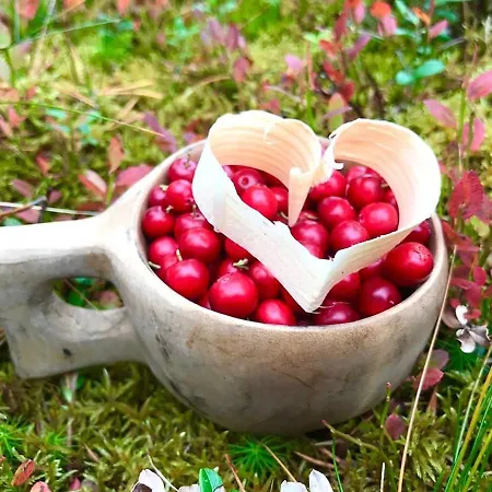 Vakantiehuis Kelo 24, Kahden Makuuhuoneen Kelomoekki Syoetteellae, Valaistun Ladun Vieressae *