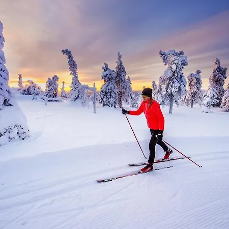 Kelo 24, Kahden Makuuhuoneen Kelomoekki Syoetteellae, Valaistun Ladun Vieressae *