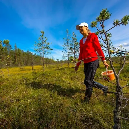 Ferienhaus Kelo 24, Kahden Makuuhuoneen Kelomoekki Syoetteellae, Valaistun Ladun Vieressae Pudasjarvi