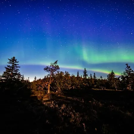 Kelo 24, Kahden Makuuhuoneen Kelomoekki Syoetteellae, Valaistun Ladun Vieressae Vakantiehuis