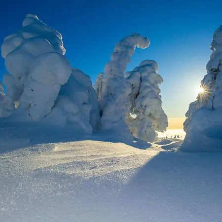 Kelo 24, Kahden Makuuhuoneen Kelomoekki Syoetteellae, Valaistun Ladun Vieressae Vakantiehuis Pudasjarvi