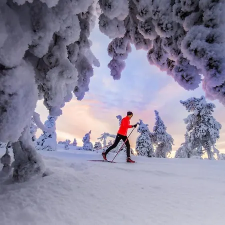 Kelo 24, Kahden Makuuhuoneen Kelomoekki Syoetteellae, Valaistun Ladun Vieressae Vakantiehuis