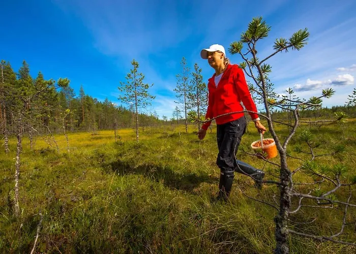 Tatil Evi Kelo 24, Kahden Makuuhuoneen Kelomoekki Syoetteellae, Valaistun Ladun Vieressae Pudasjarvi