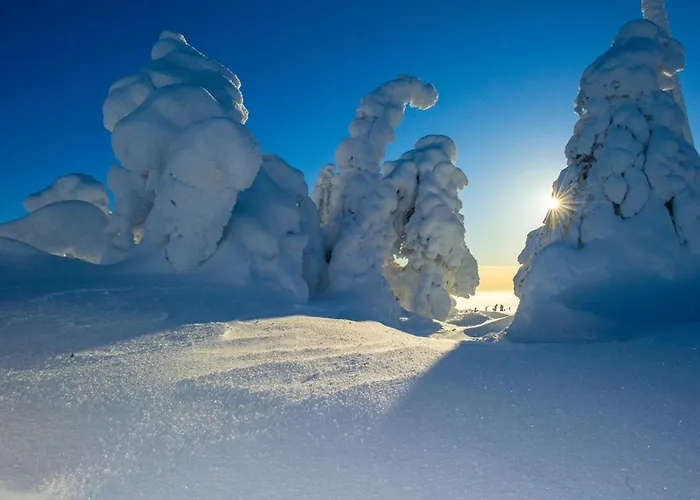 Kelo 24, Kahden Makuuhuoneen Kelomoekki Syoetteellae, Valaistun Ladun Vieressae Tatil Evi Pudasjarvi