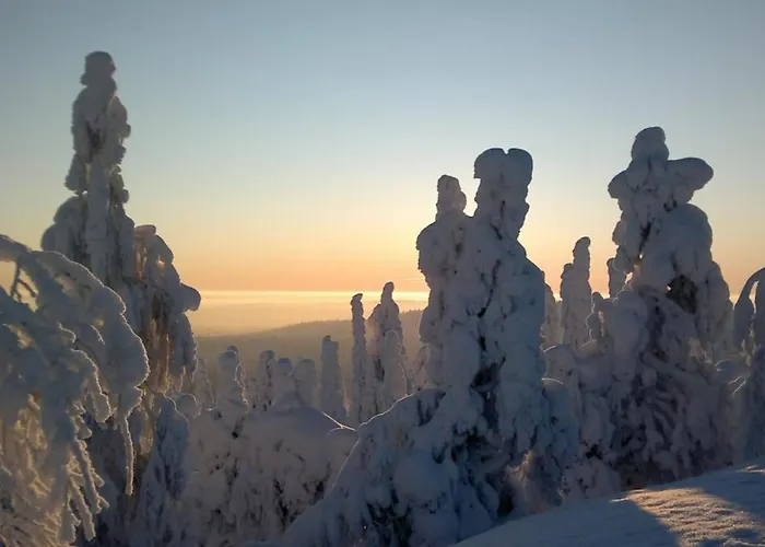 Kelo 24, Kahden Makuuhuoneen Kelomoekki Syoetteellae, Valaistun Ladun Vieressae Tatil Evi Pudasjarvi